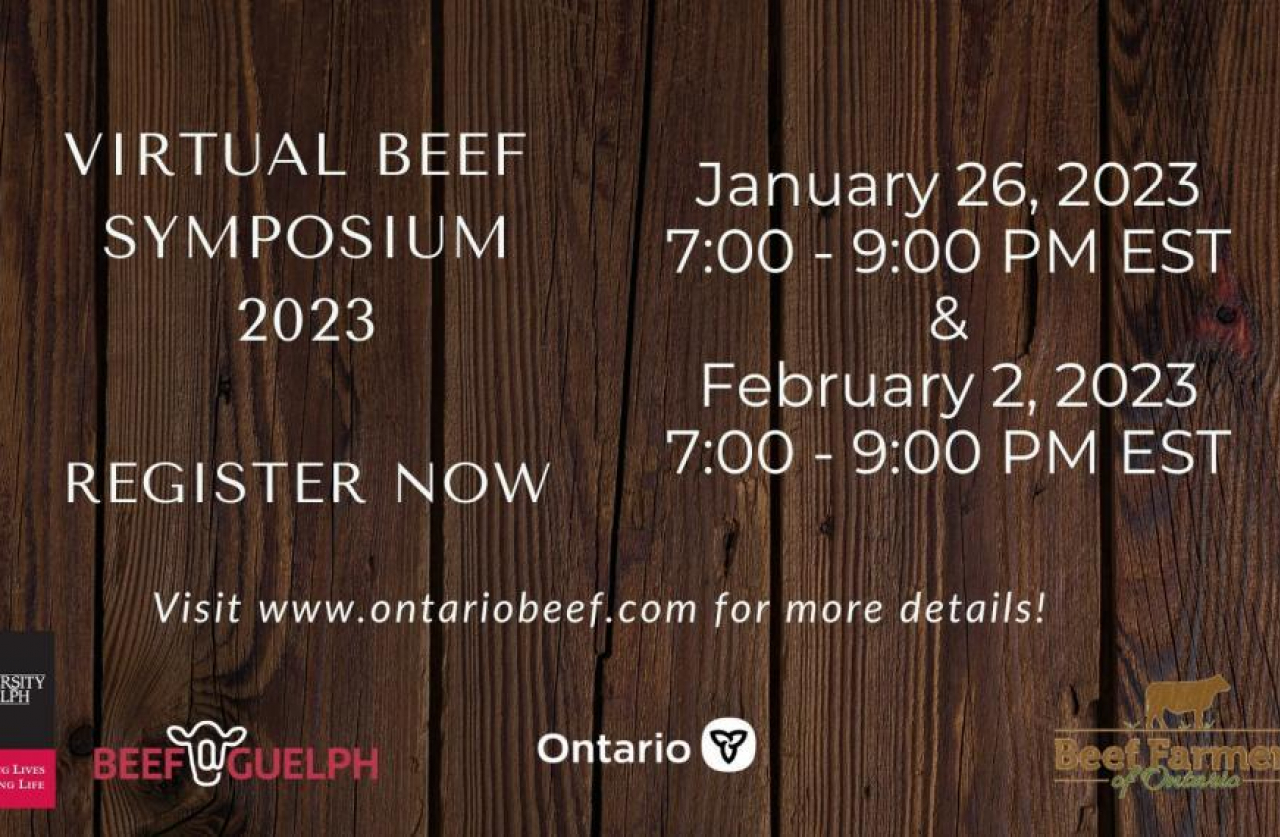 virtual beef symposium