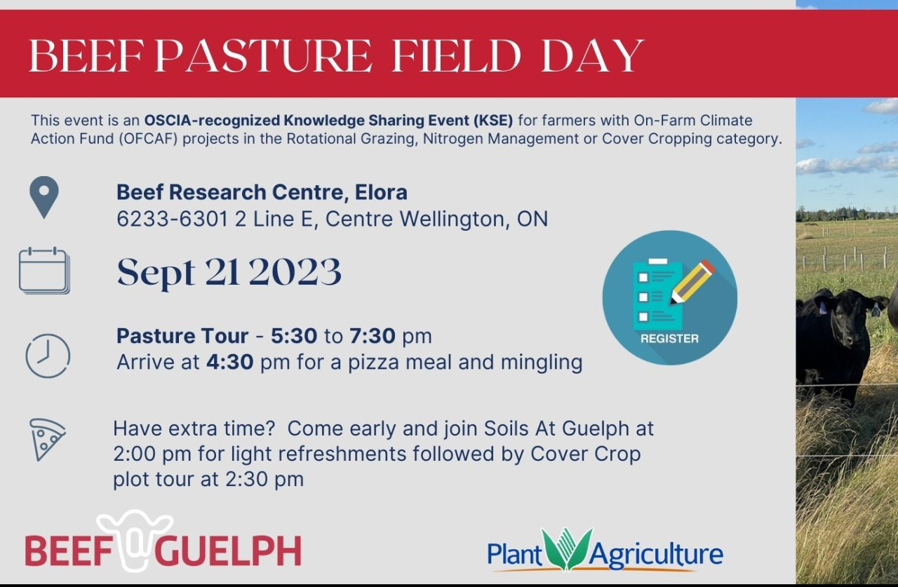 beef pasture field day flyer