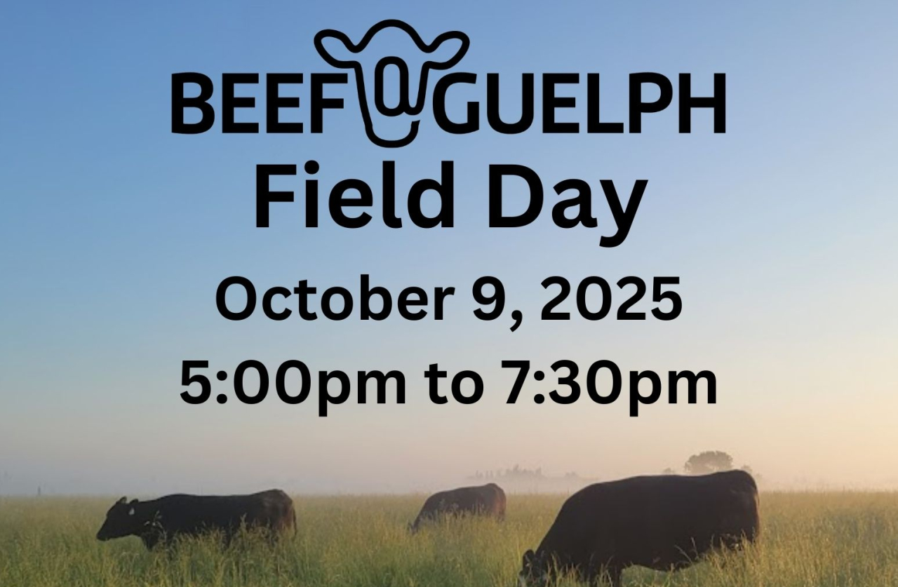 Join us October 9th, 2025 at the Ontario Beef Research Centre for a Beef@Guelph Field Day! 