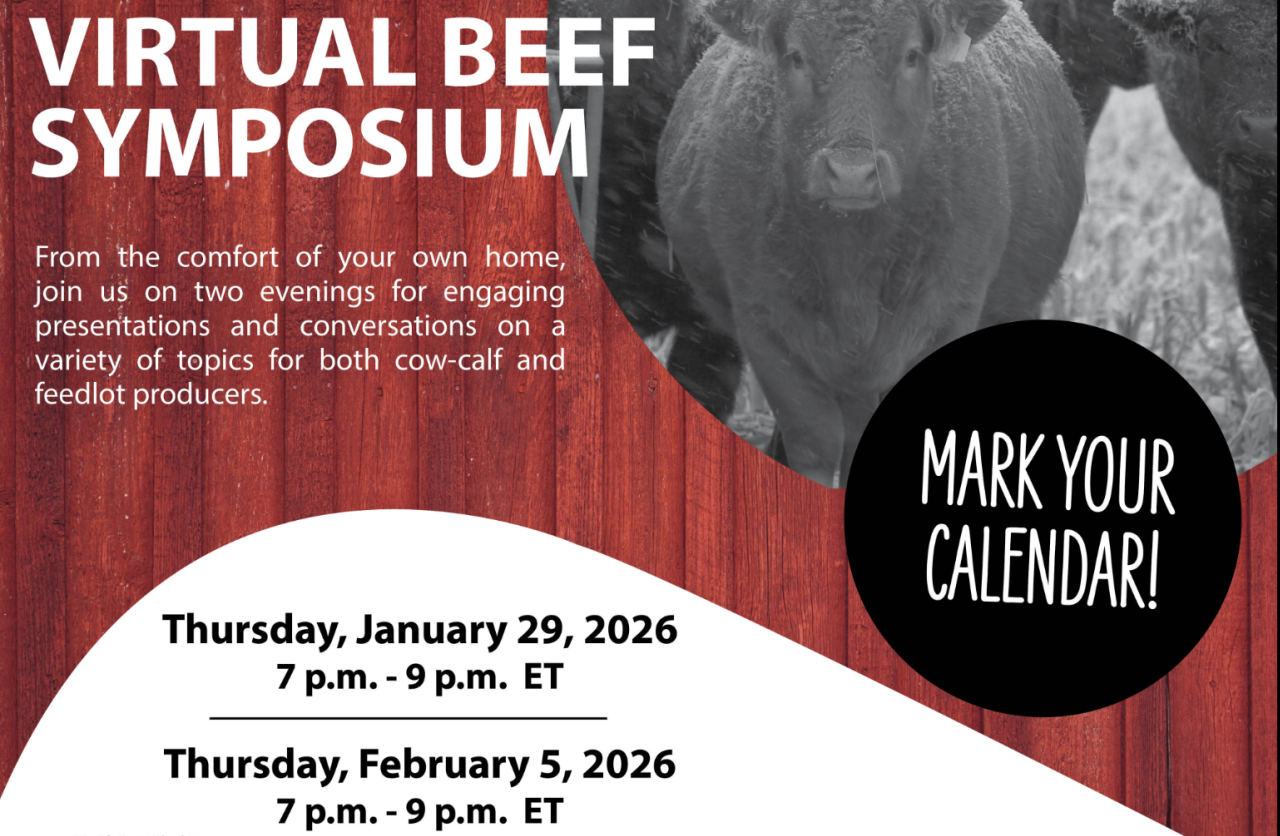 virtual beef save the date